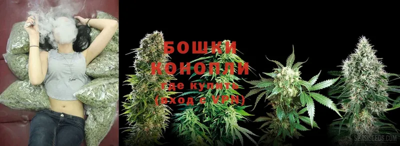 Бошки Шишки THC 21%  Велиж 